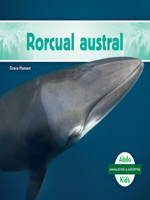 cover image of Rorcual austral